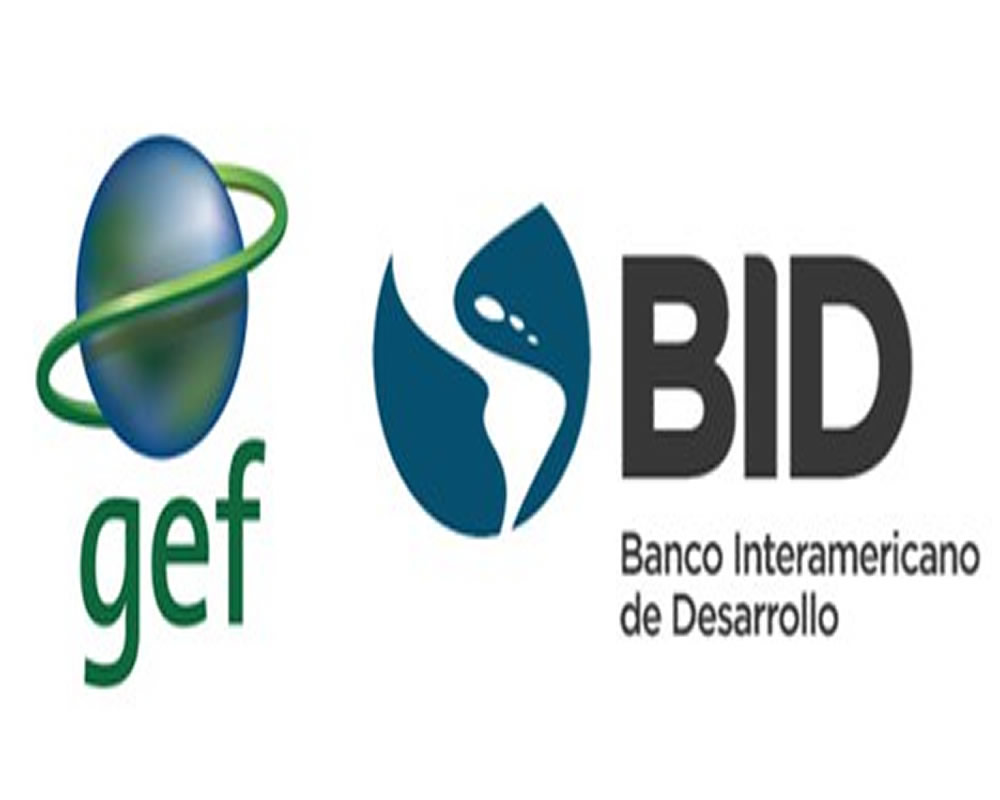 bid-c